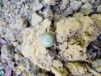 20170924_094742.webp