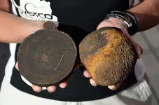 manganese_nodule.webp