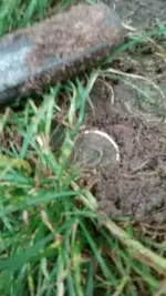 20170909_090212_resized.webp