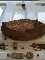 20170826_100153.webp