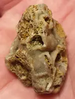 20161217_162105-1.webp