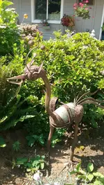 20170812_133134_resized.webp