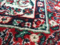 DSCN9239.webp