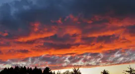 snoopy yo yo and 1010 sunset 011.webp snoopy yo yo and 1010 sunset 011.webp