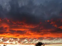snoopy yo yo and 1010 sunset 015.webp snoopy yo yo and 1010 sunset 015.webp
