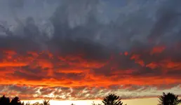 snoopy yo yo and 1010 sunset 016.webp snoopy yo yo and 1010 sunset 016.webp