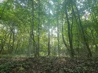 09222017-5.webp