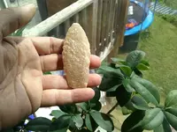 IMG_20170903_140425737.webp