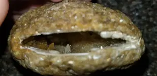 20171024_195505.webp 20171024_195505.webp