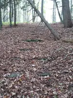 20170930_132955.webp