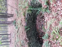20170930_122203.webp