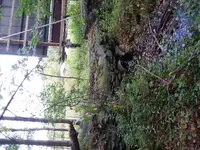 20170930_125944.webp