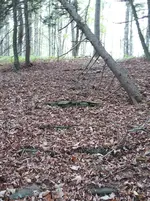 20170930_132955.webp 20170930_132955.webp