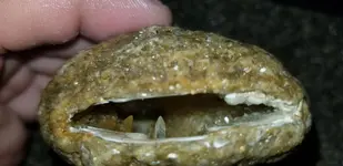20171024_195431.webp 20171024_195431.webp