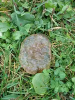 IMG_20171017_145425.webp