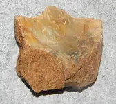 DSCN7759.webp
