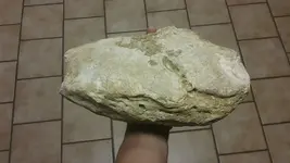 1508368684868.webp