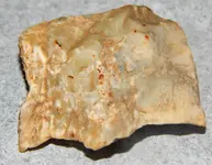 DSCN7761.webp