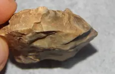DSCN7762.webp