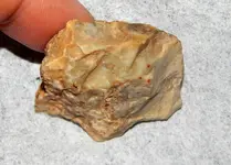 DSCN7763.webp