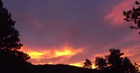 DSCF3766 (2).webp