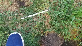20170902_074338.webp