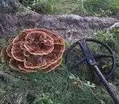 20170922_210131.webp