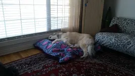 20170127_153239.webp