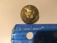 Button Front to scale.webp