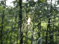 015.webp