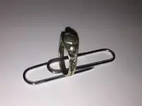 Ring - Side View.webp Ring - Side View.webp