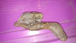 20170923_064147.webp