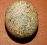 DSCN7181.webp
