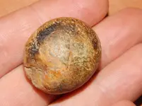 DSCN7182.webp