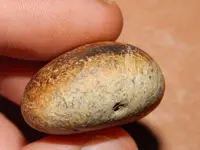 DSCN7183.webp
