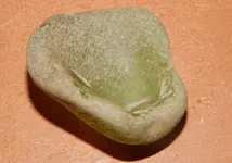 DSCN7184.webp