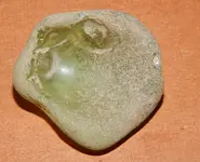 DSCN7185.webp