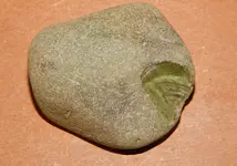 DSCN7186.webp