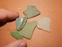 DSCN7189.webp
