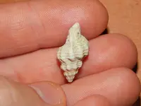 DSCN7190.webp