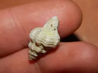DSCN7192.webp