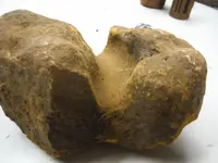 DSCF1507.webp