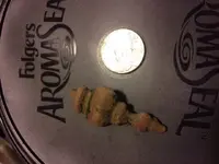 copper item.webp