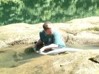 DSCF0005.webp
