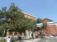 JFK 2.webp