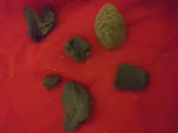 20170913_021454.webp