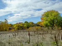 bike ride 101117 1.webp