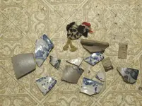 IMG_0443.webp IMG_0443.webp