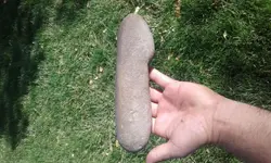 150895972717372888460.webp