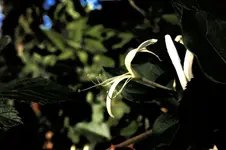 CRW_2967 -1.webp